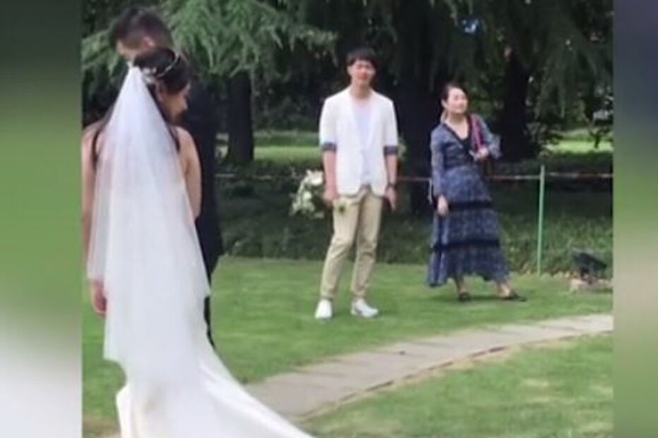 Gato brincalhão deita-se no vestido da noiva enquanto abandonavam a igreja