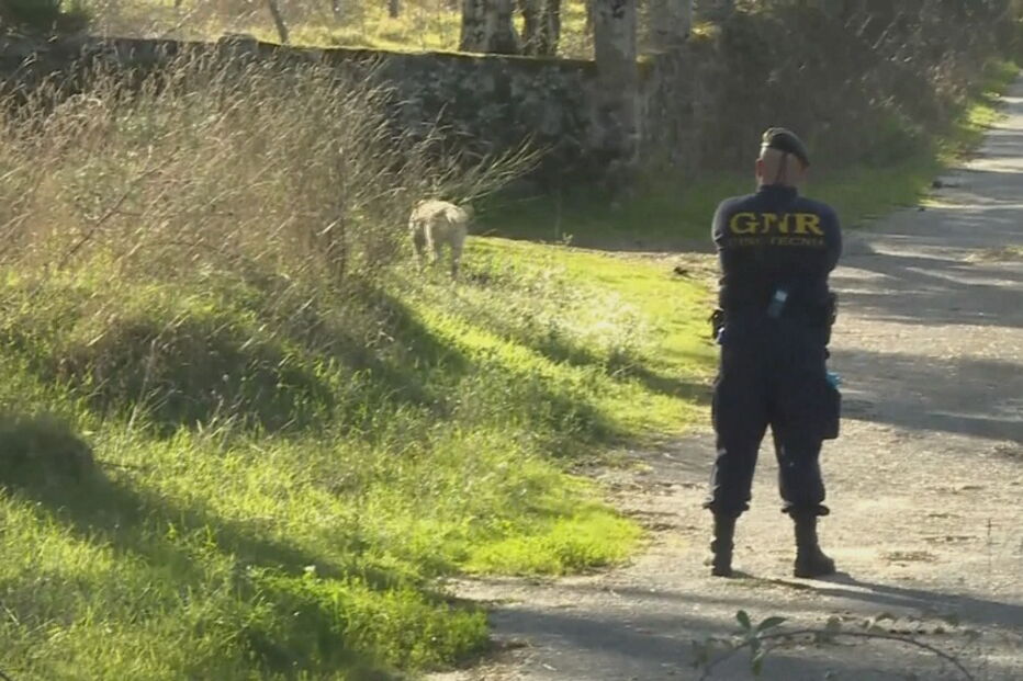 Mulher atingida a tiro na cabeça por ex-marido em Nelas após agressões mútuas