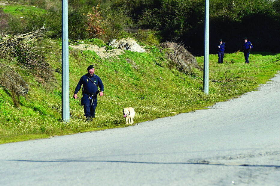 GNR esteve no terreno com recurso a cães à procura da arma usada no crime
