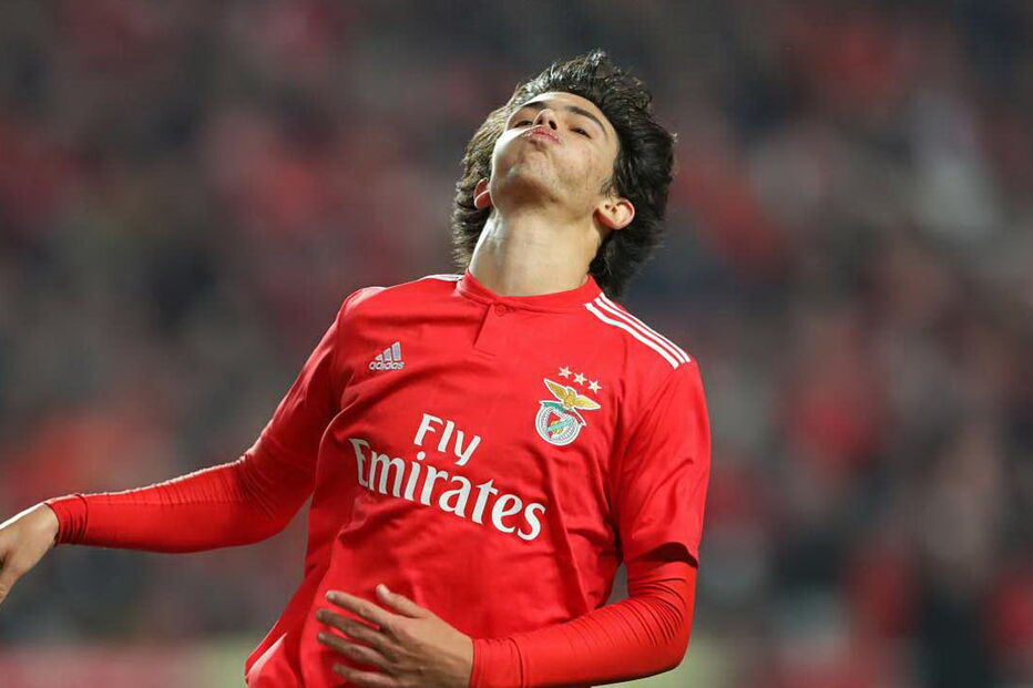 2019-02-07_19_04_20 felix.jpg