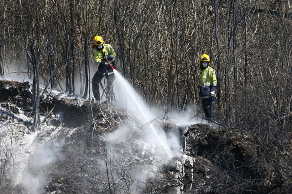 Incêndio obriga a retirar 700 pessoas de cidade da Nova Zelândia
