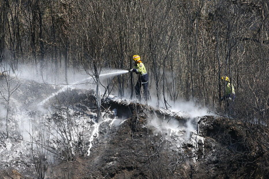 Incêndio obriga a retirar 700 pessoas de cidade da Nova Zelândia