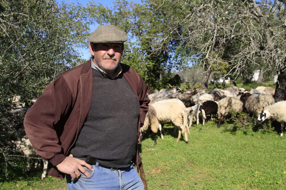 Joaquim Nunes é produtor de ovelhas em Estoi, no Algarve