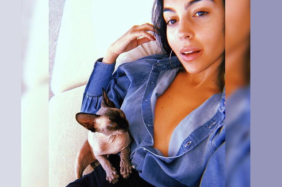 Cristiano e Georgina com o gato Pepe