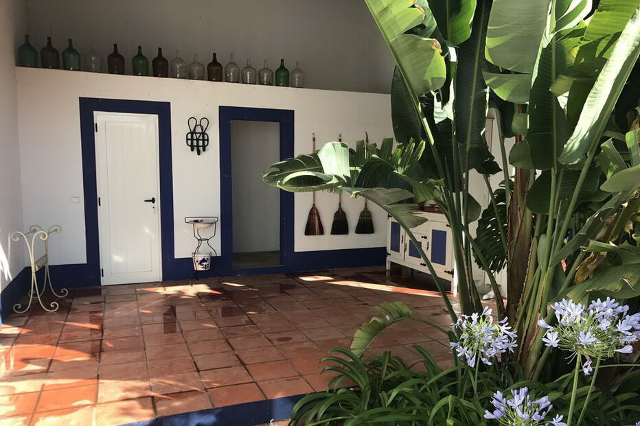 Vista geral da casa de Sofia Fava