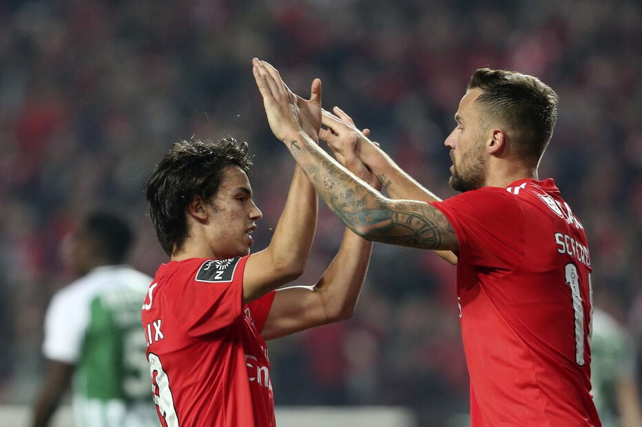 João Félix e Seferovic em jogo do Benfica