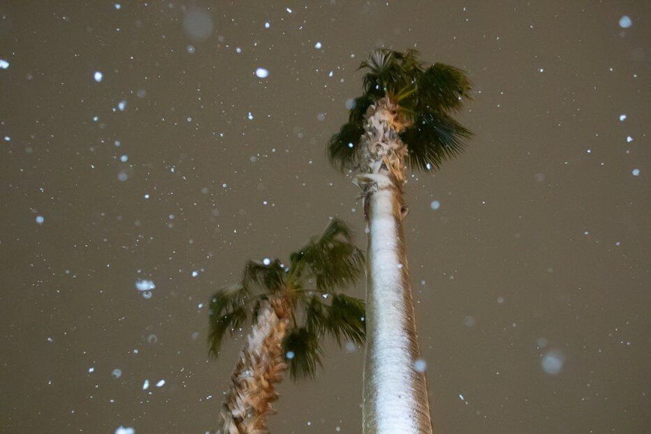 Imagens de neve em Las Vegas levam redes sociais à loucura