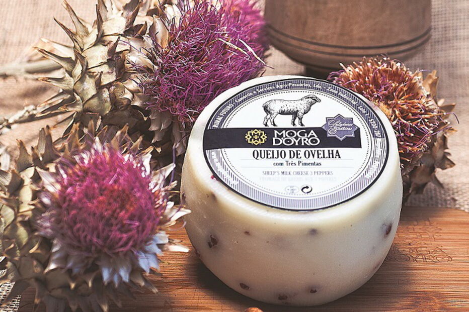 Conheça a mais recente marca de queijos Mogadoyro