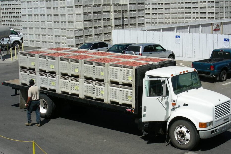 Fábrica de batata doce de Manuel Vieira