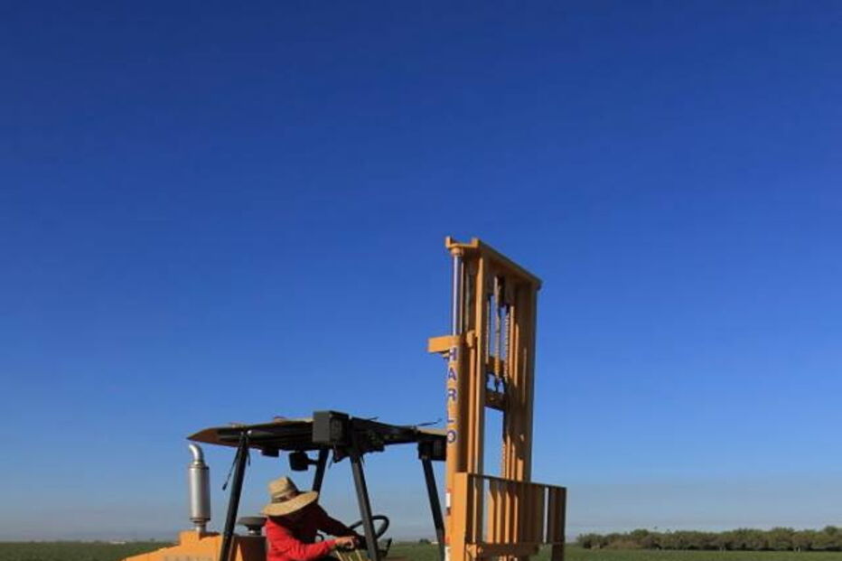 Fábrica de batata doce de Manuel Vieira