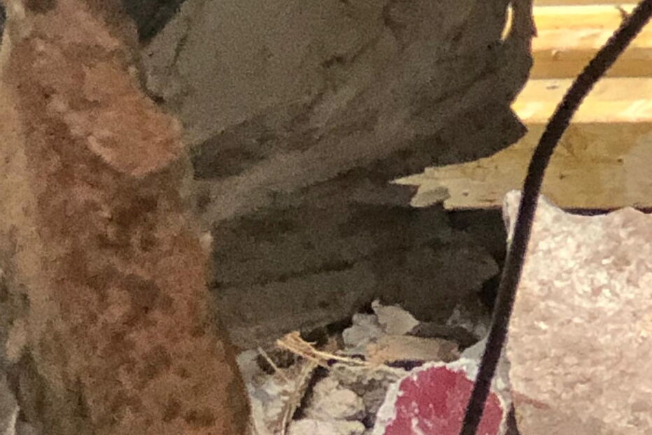 2019-02-17_11_31_15 calheta10.jpg