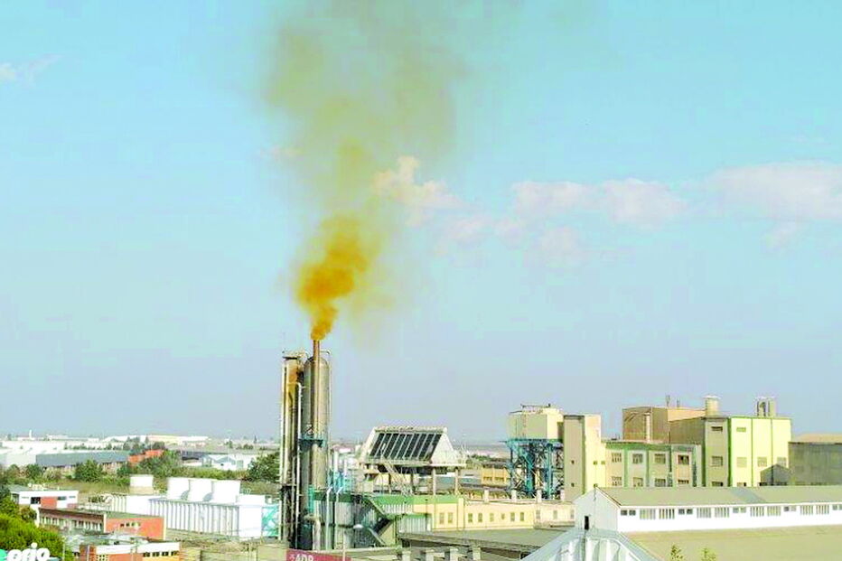 Adubos de Portugal, em Vila Franca de Xira, é suspeita de ser o foco do surto     