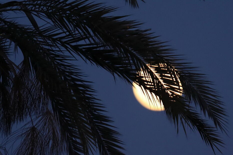 Superlua em Nicósia, Chipre