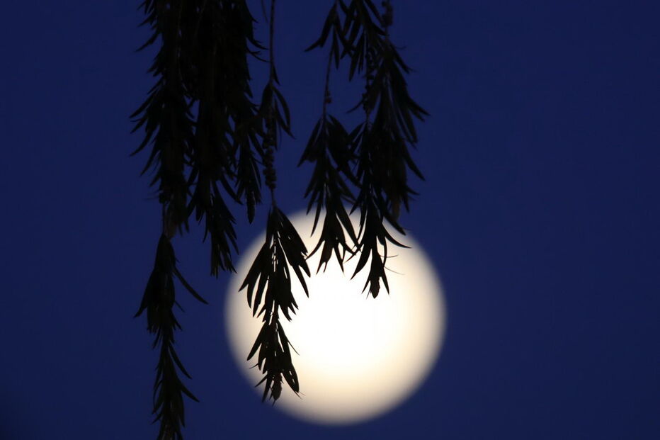 Superlua em Nicósia, Chipre