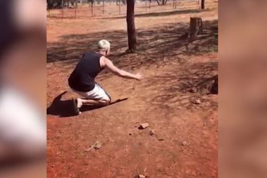 Vídeo mostra homem a pegar leão ao colo como se fosse um bebé