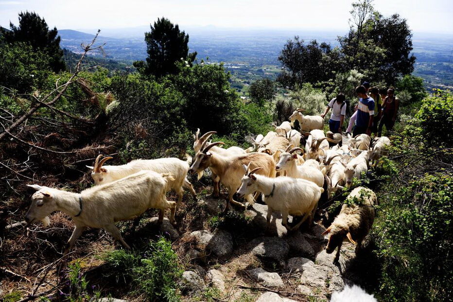 Serra da Gardunha, Fundão