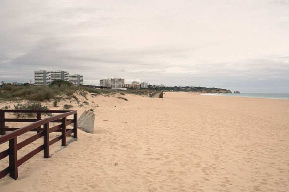 Encontrado na praia de Alvor 
