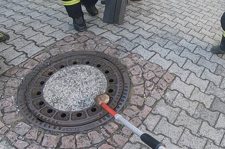 Bombeiros salvam ratazana presa em tampa de esgoto na Alemanha