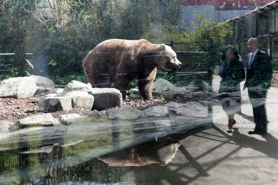 Jardim Zoológico da Maia tem dois novos habitantes