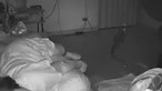 Vídeo mostra mulher a ser mordida por cobra enquanto dormia