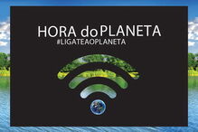 2019-03-06_14_52_08 WWF 5.jpg