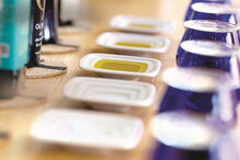 Azeites novos postos 'à prova'