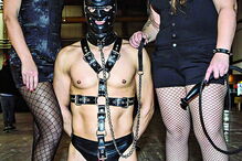 Espetáculos de sadomasoquismo feitos por portugueses