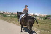 Três homens roubam égua na Moita, em Setúbal