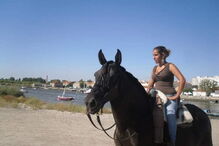 Três homens roubam égua na Moita, em Setúbal