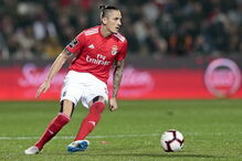 Fejsa em ação num jogo do Benfica