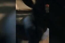 Vídeo de ataque homofóbico causa indignação em Espanha