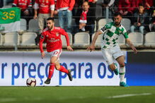 Jogo entre Benfica e Moreirense para a Primeira Liga	