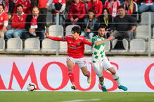 Jogo entre Benfica e Moreirense para a Primeira Liga	