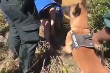 O momento em que Maria Gombau, suspeita de matar os filhos, é descoberta pela Guardia Civil dentro de um bidão