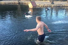 Homem nada em lago privado e é expulso por cisne