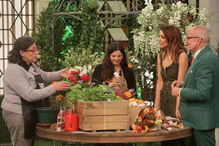 Você na TV inicia programa com tema de Primavera