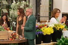 Programas iniciaram com ideias semelhantes