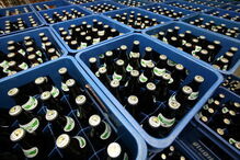 Cerveja vendida em supermercados com preços combinados