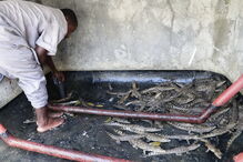 2019-03-26_15_31_19 M2-18067855.JPG