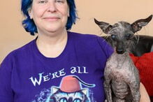 cão mais feio do mundo