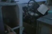 Vídeo de pescador a lançar explosivo contra leões marinhos gera revolta