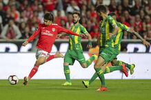 Benfica e Tondela 