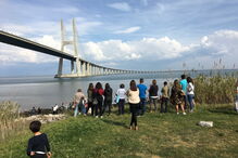 Golfinho ferido encontrado na margem do rio Tejo junto ao Parque das Nações em Lisboa