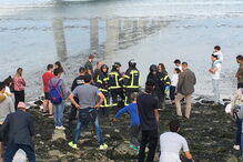 Golfinho ferido encontrado na margem do rio Tejo junto ao Parque das Nações em Lisboa