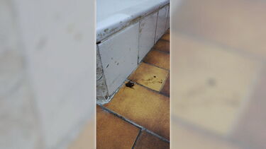 Dejetos fecham esquadra da PSP