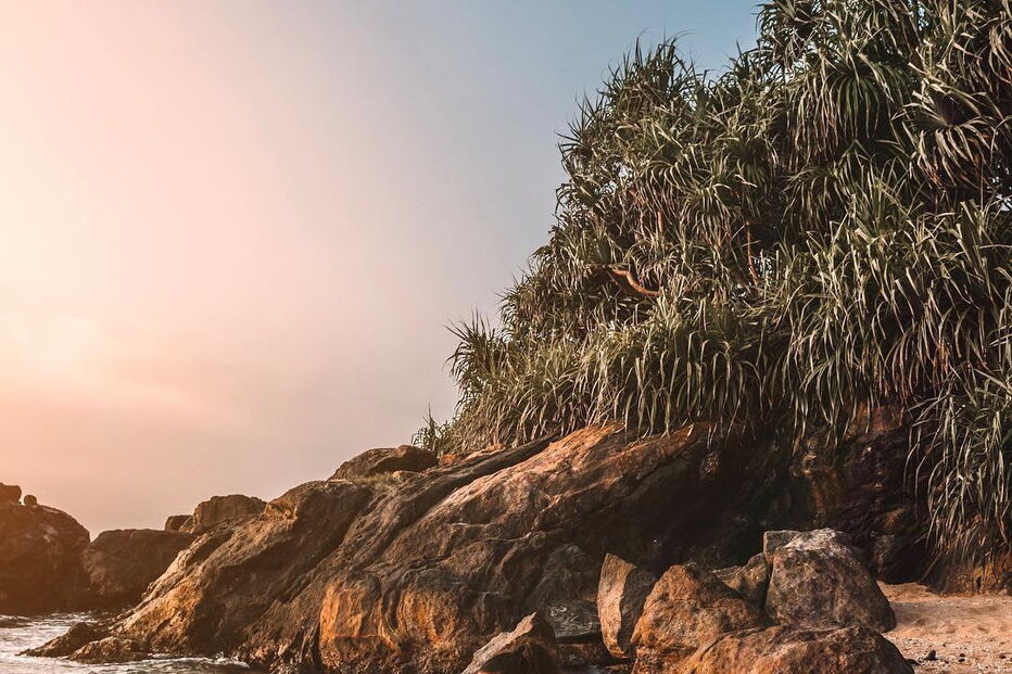Casal português de bloguers arrasado após foto “irresponsável” em comboio
