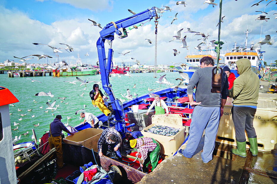 Pescadores algarvios capturaram mais peixe em 2018