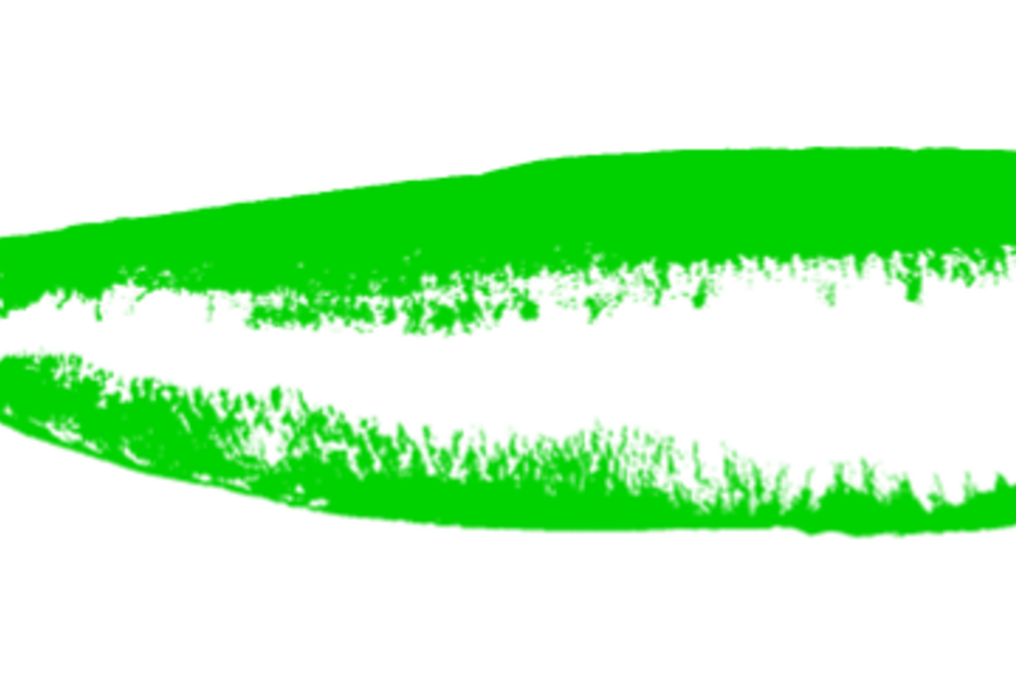 2019-03-06_11_31_22 concurso-sardinhas19-site-768px.png