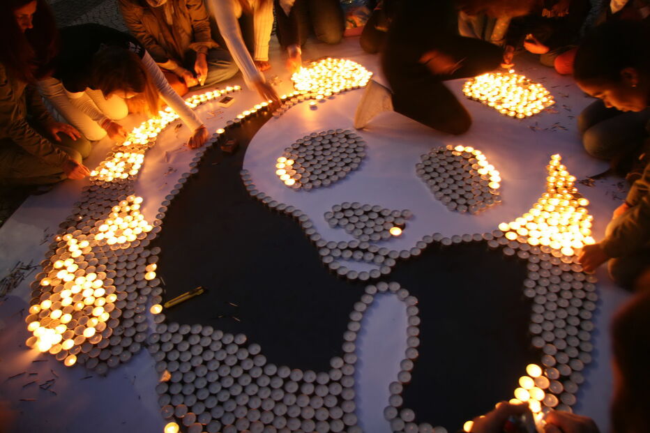 2019-03-06_14_52_05 WWF 3.jpg