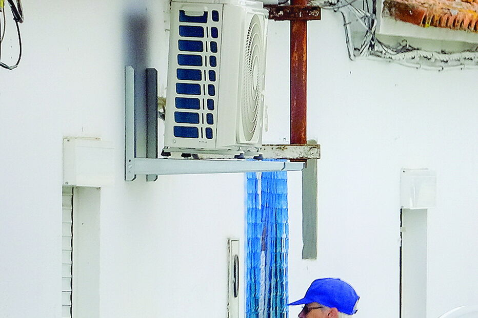 Maria Anjo acolheu a companheira na sua casa